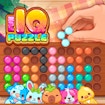 Fun IQ Puzzle